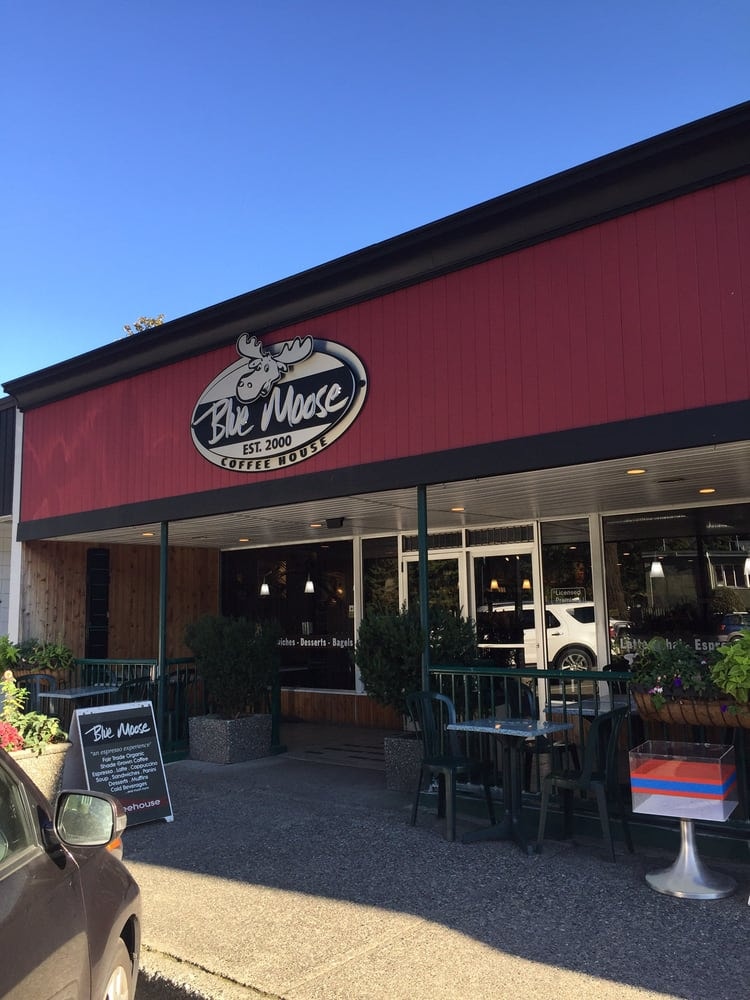 Blue Moose Coffee House